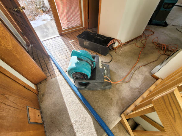 Best 24/7 water damage repair  in Montgomery, MN