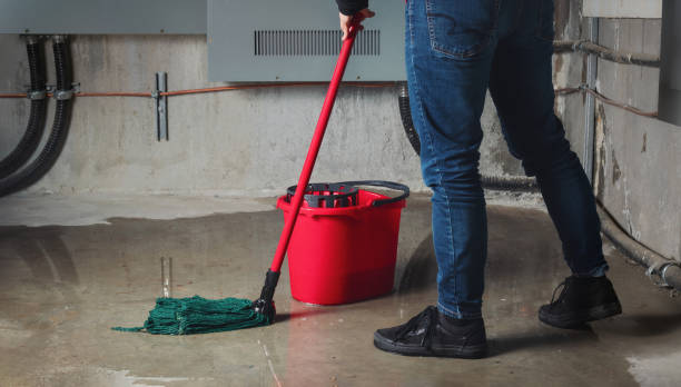 Best Mold removal after water damage  in Montgomery, MN