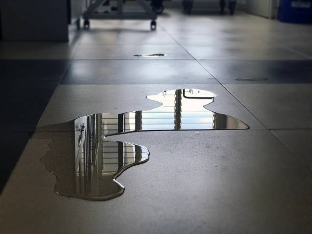 Best Emergency water damage restoration  in Montgomery, MN