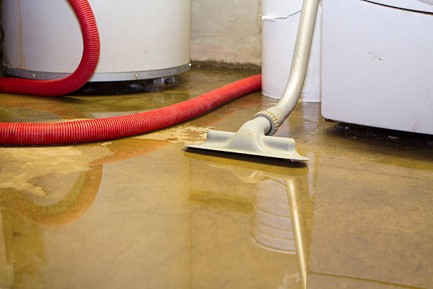 Best Carpet water damage restoration  in Montgomery, MN