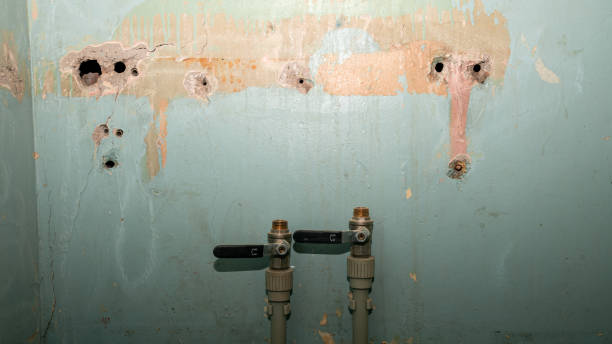 Best Residential water damage restoration  in Montgomery, MN