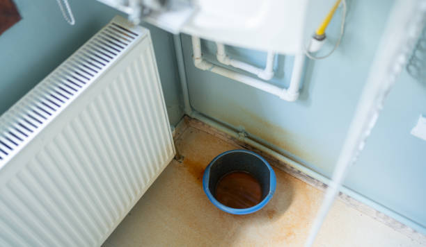 Best Water damage restoration near me  in Montgomery, MN