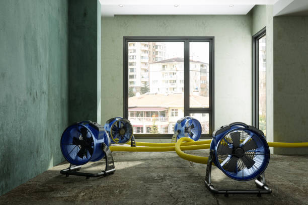 Best 24-hour water damage restoration  in Montgomery, MN