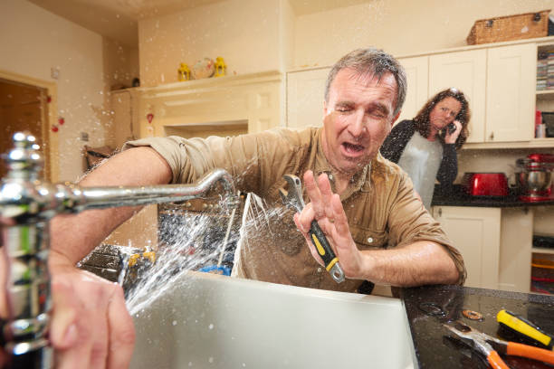Best Water damage restoration near me  in Montgomery, MN